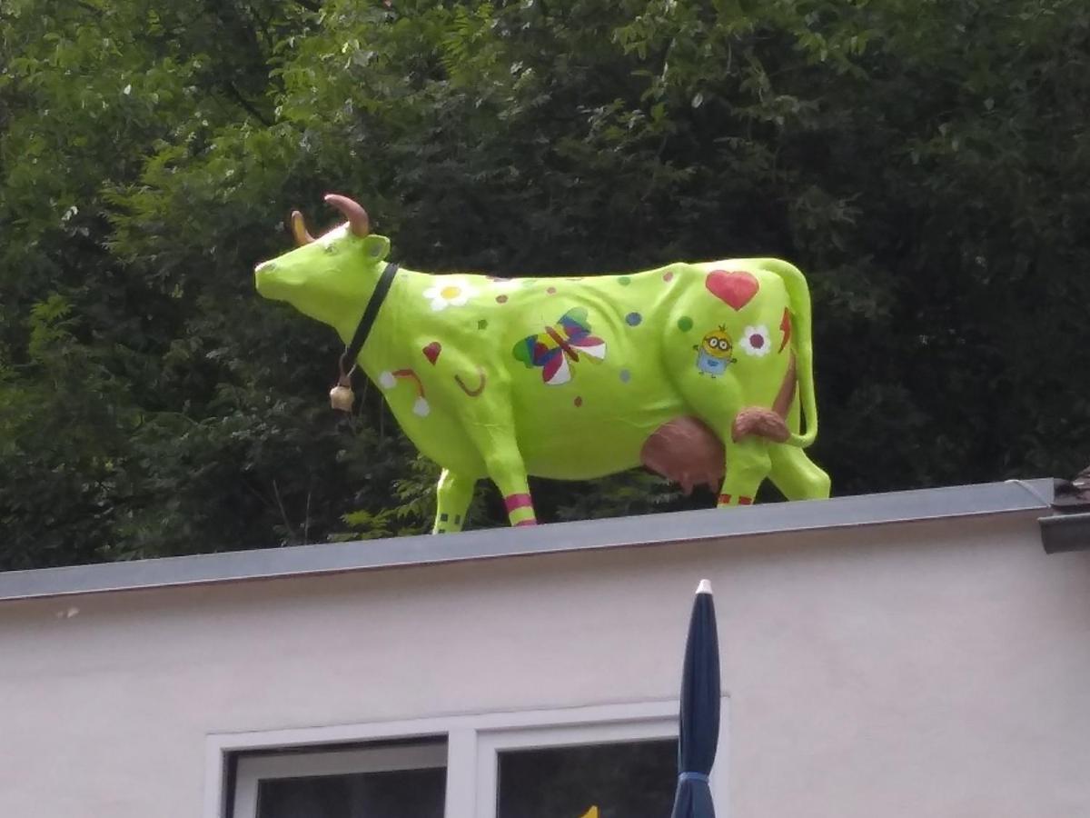 Pension Camping Schausten Cochem Exteriér fotografie
